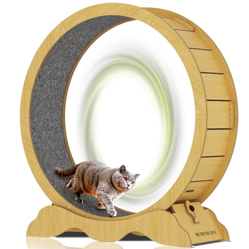 猫 ランニングホイール 室内用」の人気商品一覧 | 安い商品を通販